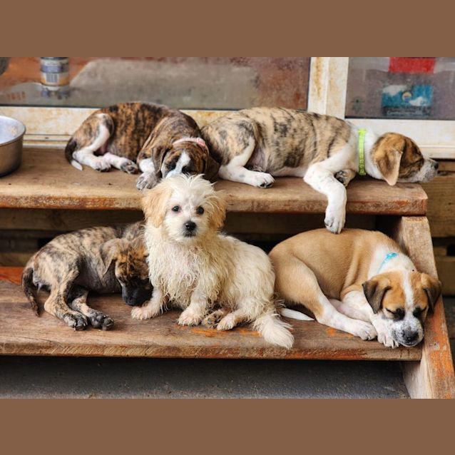 Photo of George   Moodle