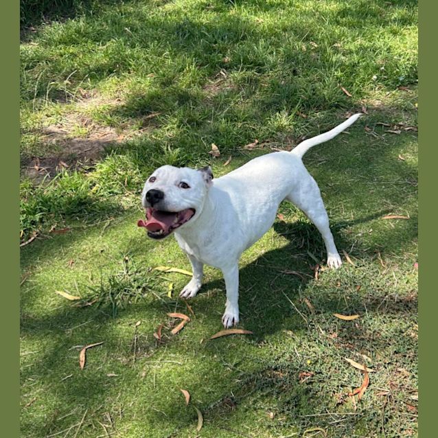 Photo of 💕 Aleura C04787 💕