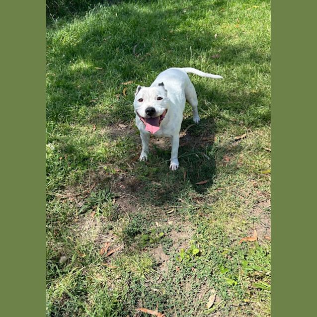 Photo of 💕 Aleura C04787 💕