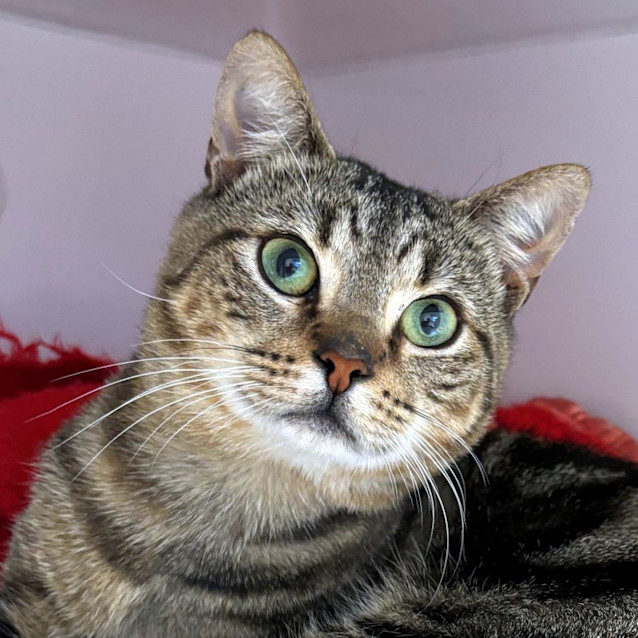 Photo of Hugo Sta012083