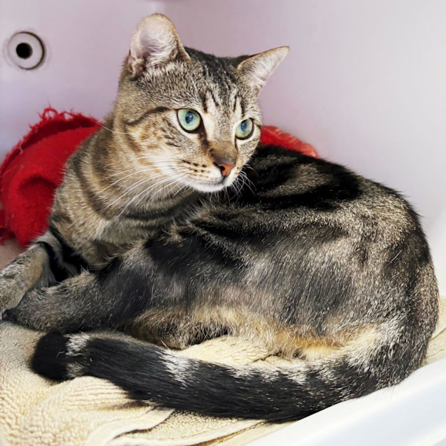 Photo of Hugo Sta012083