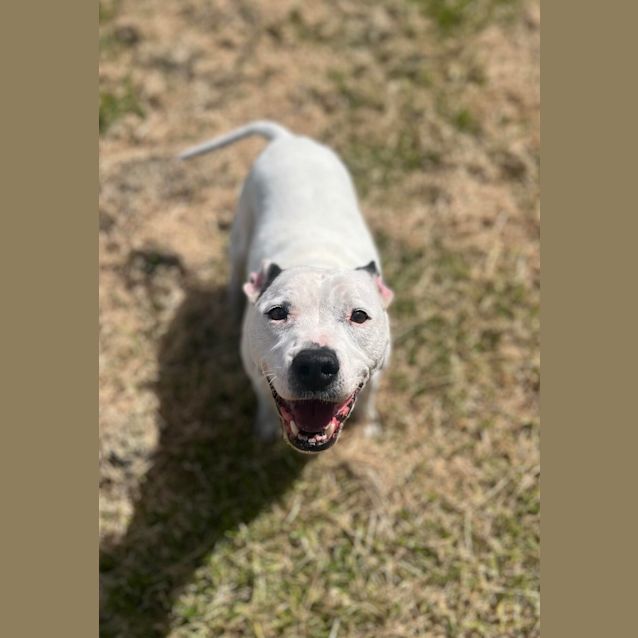 Photo of 💕 Aleura C04787 💕