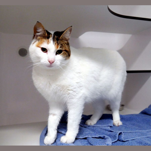 Photo of Misty Rsuk006474