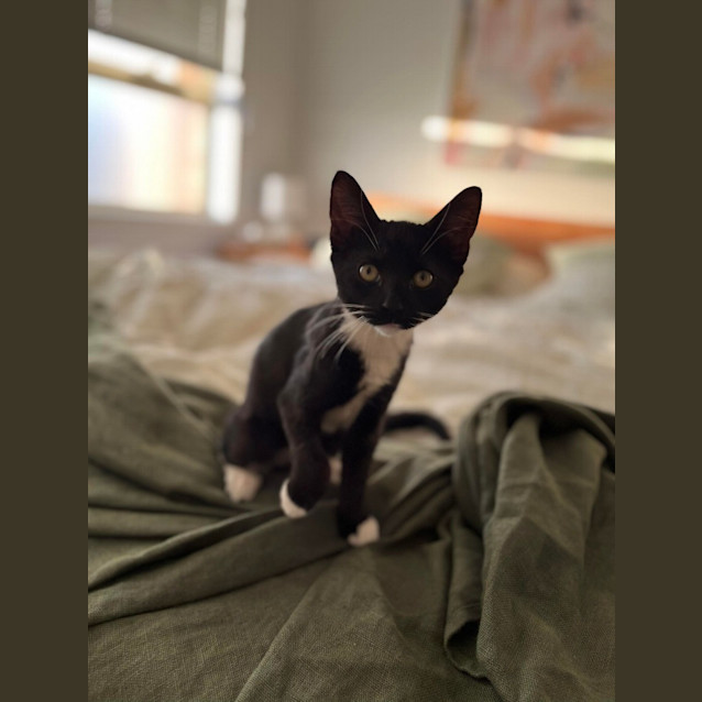 Photo of Luna
