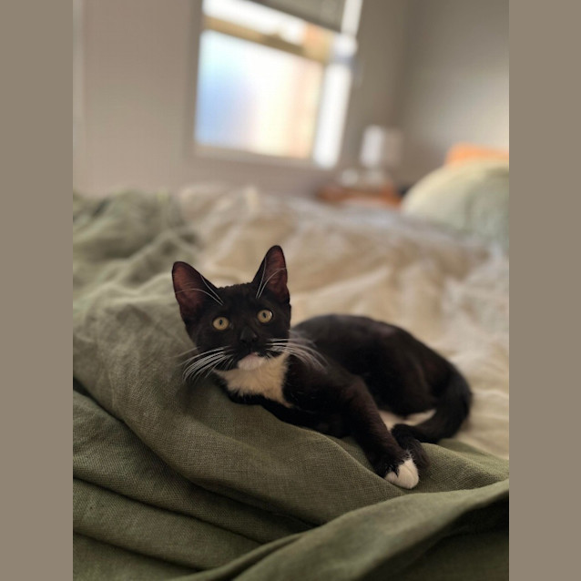 Photo of Luna