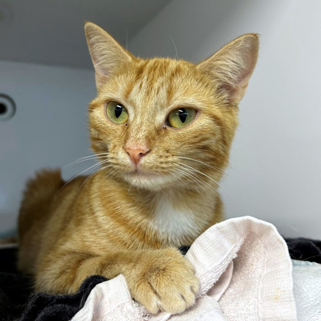 Photo of Ruby Sua012267