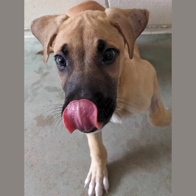 Photo of Lucy (Lulu) Gill