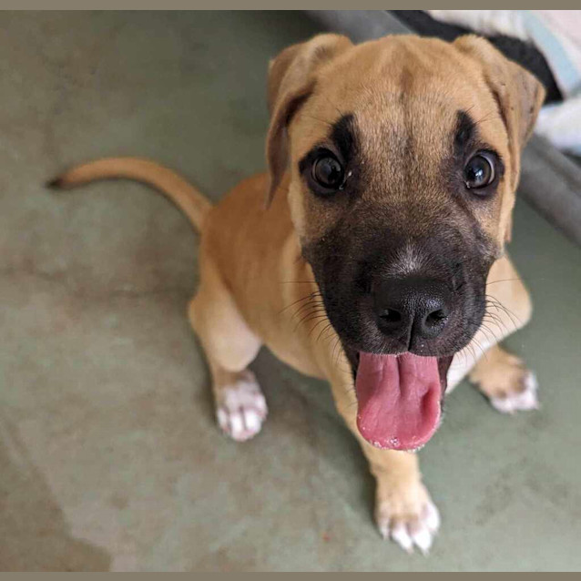 Photo of Lucy (Lulu) Gill