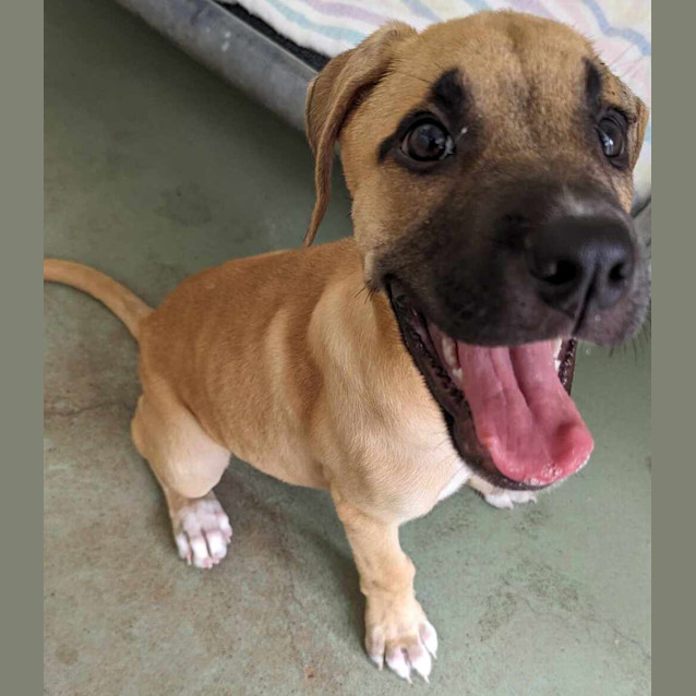 Photo of Lucy (Lulu) Gill