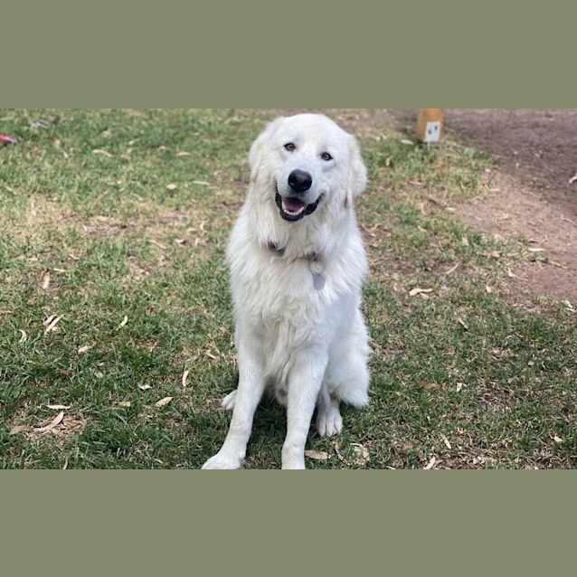 Photo of Luca