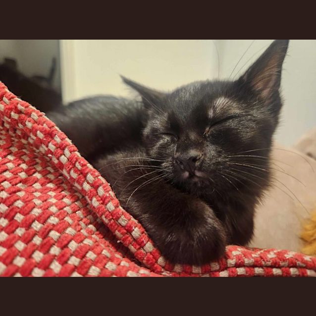 Photo of Betty 