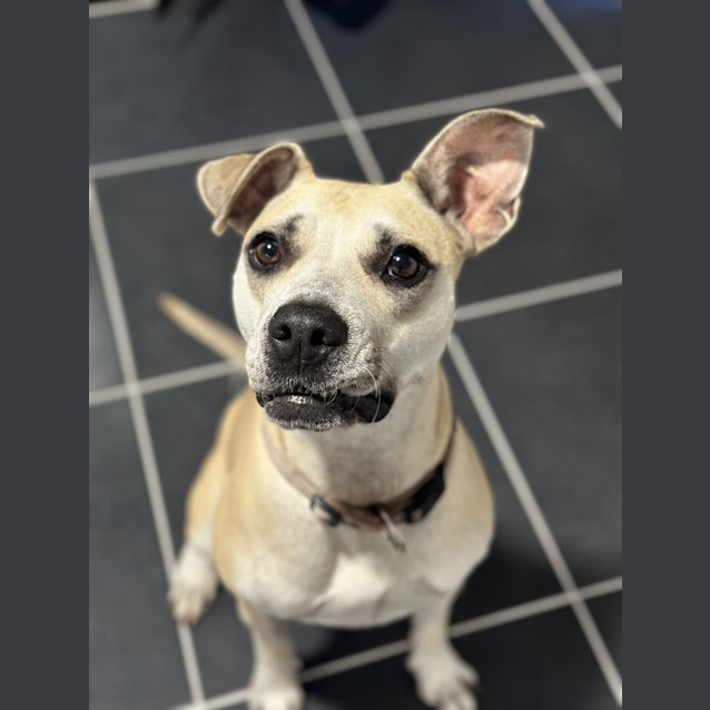 Photo of Missy