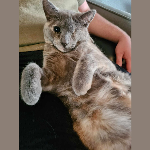 Photo of Pepper