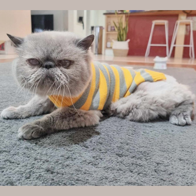 Photo of 🖊Posca🖊