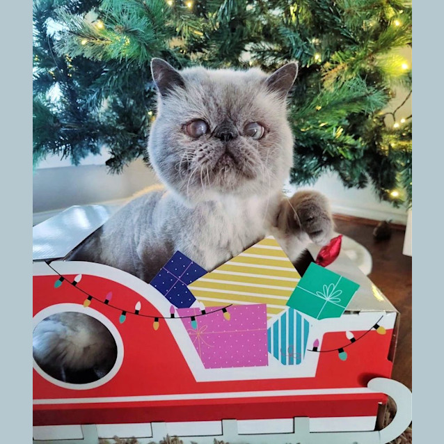 Photo of 🖊Posca🖊