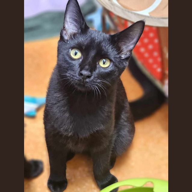 Photo of Astro