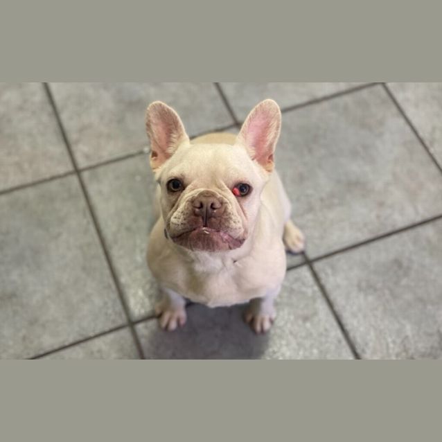 Photo of Chloe
