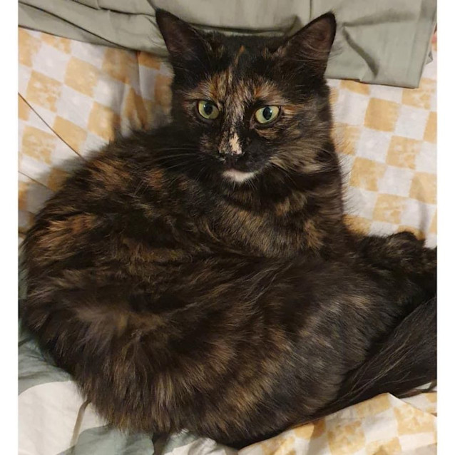 Photo of 8814   Montana