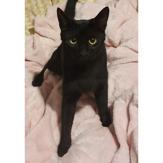 Photo of 8812   Forrest