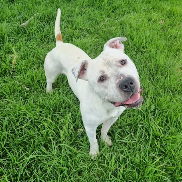 Photo of Brock
