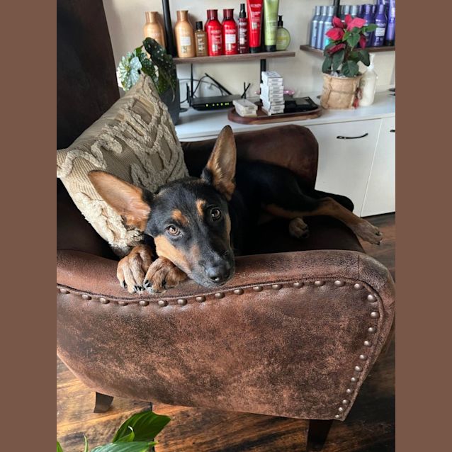 Photo of Bindi