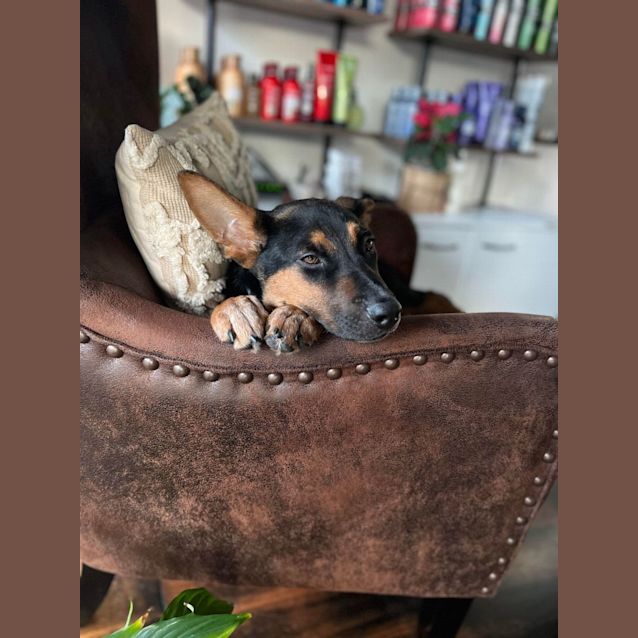 Photo of Bindi