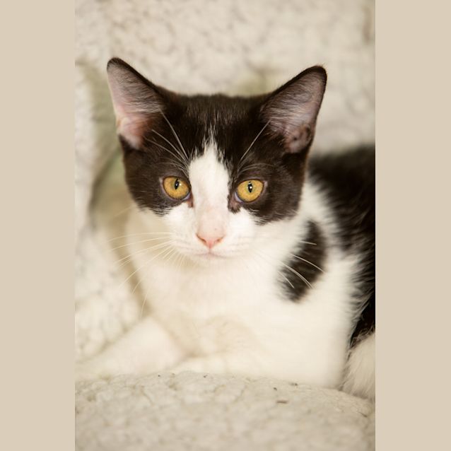 Photo of Murphy