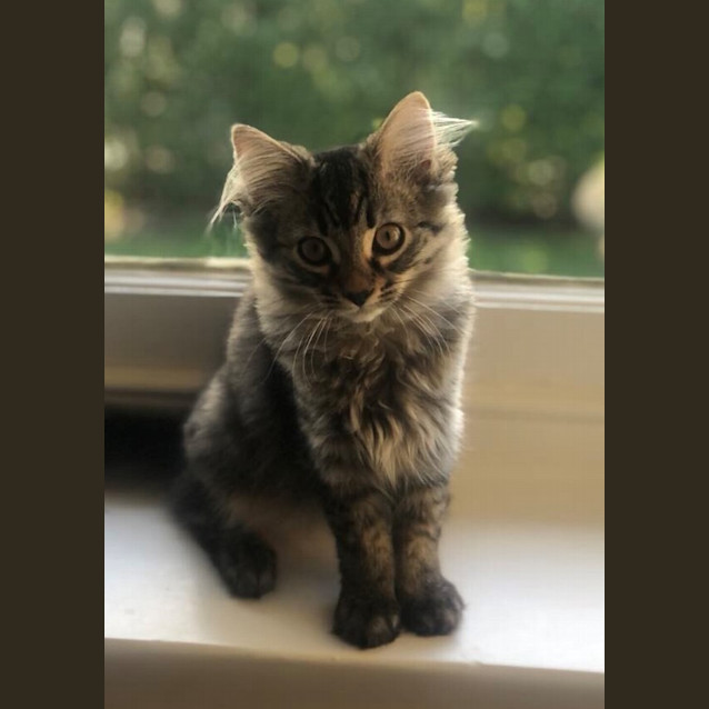 Photo of Arthur