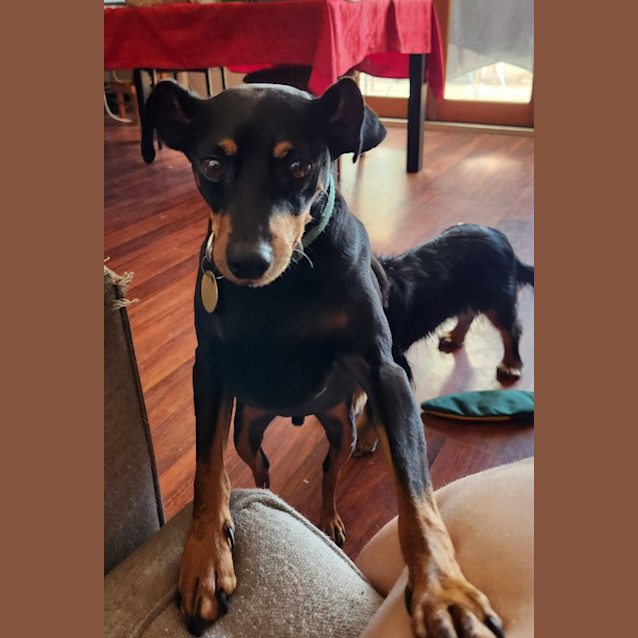 Photo of Circe & Feliz