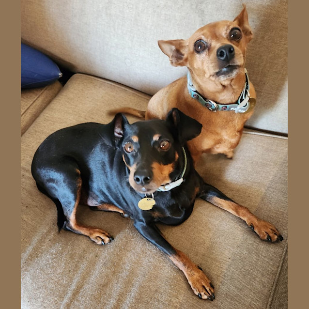 Photo of Circe & Feliz