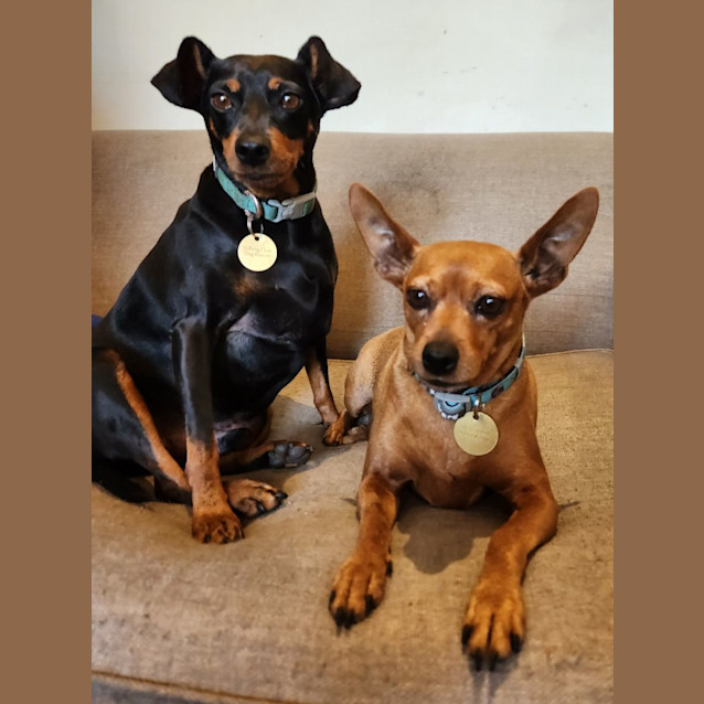 Photo of Circe & Feliz