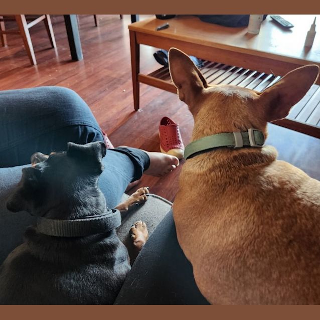 Photo of Circe & Feliz