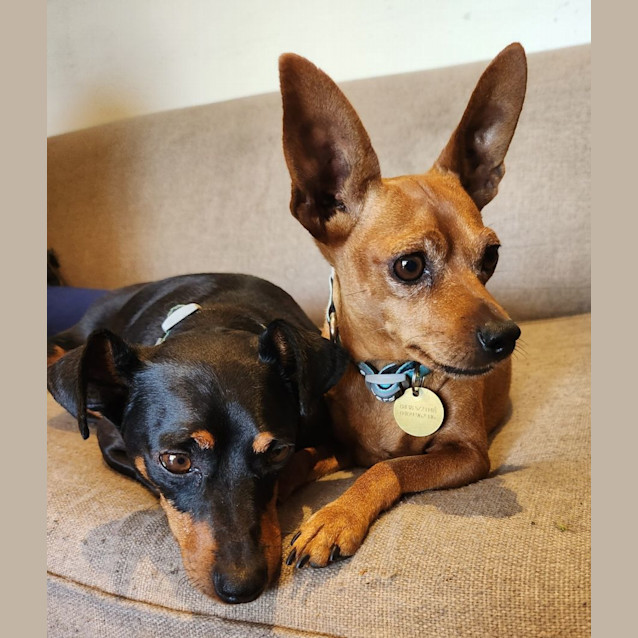 Photo of Circe & Feliz