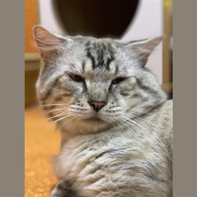Photo of Teddy