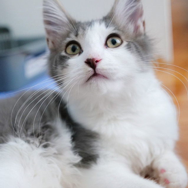 Photo of Jasper