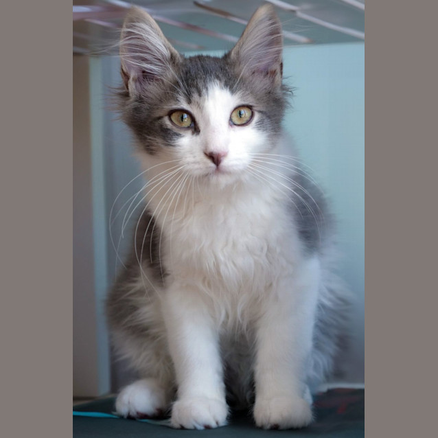 Photo of Jasper