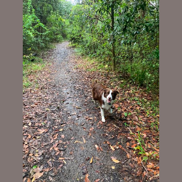 Photo of Lulu