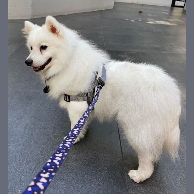 Photo of Cloud