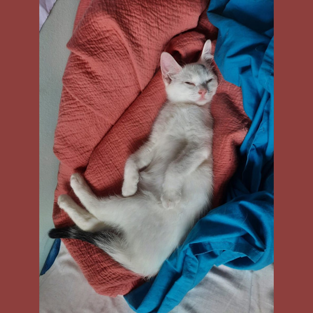 Photo of Julie