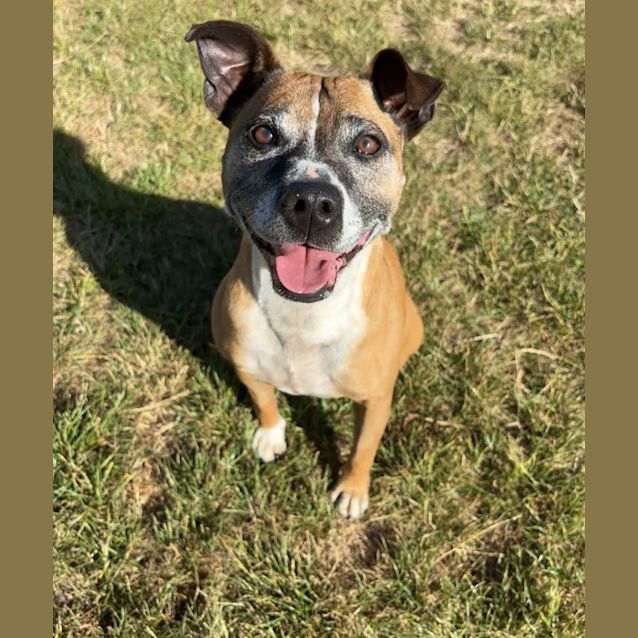 Photo of Rosie