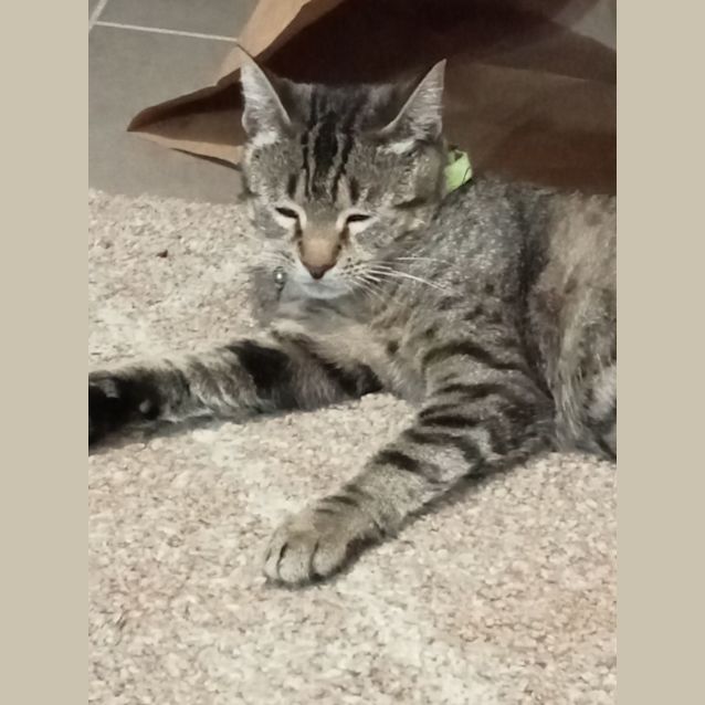 Photo of Nigella 🍪💖