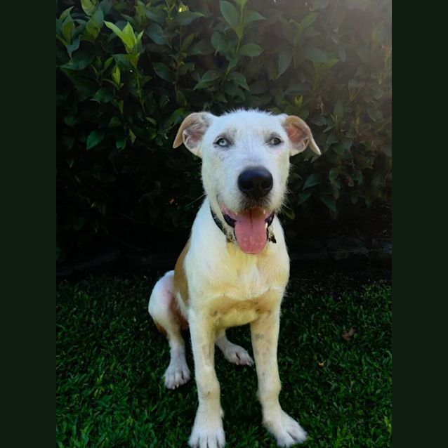 Photo of Ted