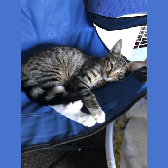 Photo of Tiggy Aka Tiggs