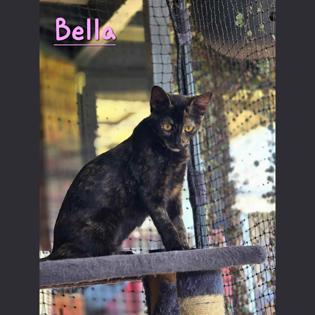 Photo of Bella 