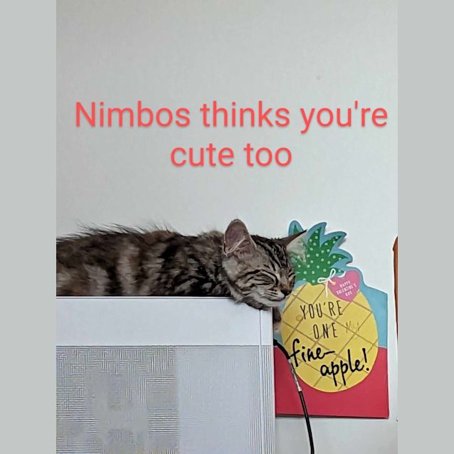 Photo of Nimbos