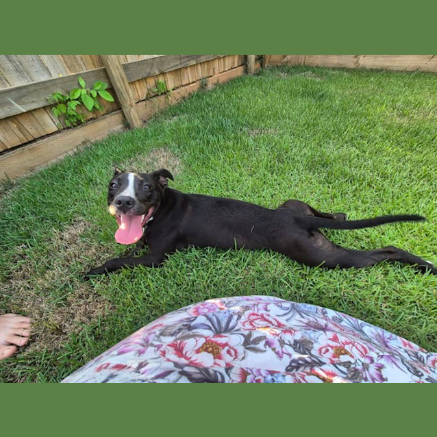 Photo of Gwen