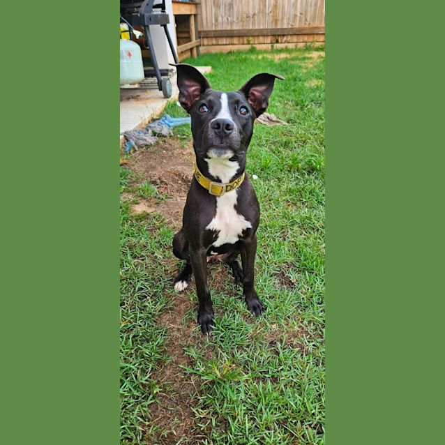 Photo of Gwen
