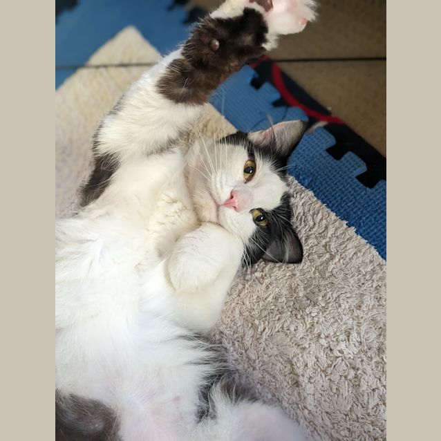 Photo of Momo