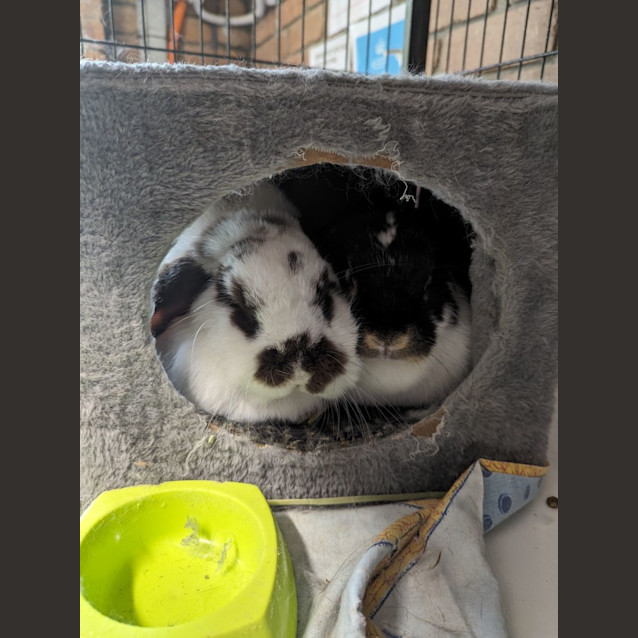 Photo of Prudence & Clara