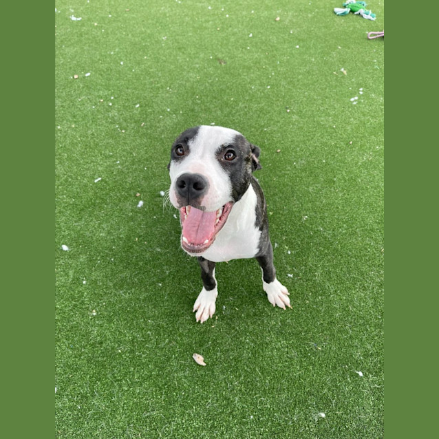 Photo of Marcus Imp 2407